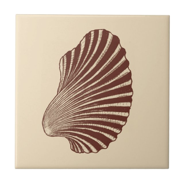 Bloco de Shell Scallop Impressão, Brown e Beige Ce (Frente)