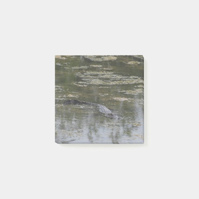 Bloco Post-it Alligator Postar suas Notas (Frente)