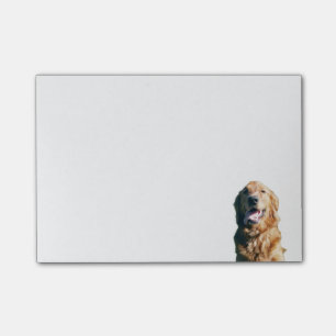 Bloco Post-it Almofada de nota do golden retriever