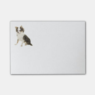 Bloco Post-it Amor Cachorro De Cabelo Longo Chihuahua