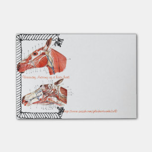 Bloco Post-it "Anatomia veterinária de uma cabeça de cavalo "