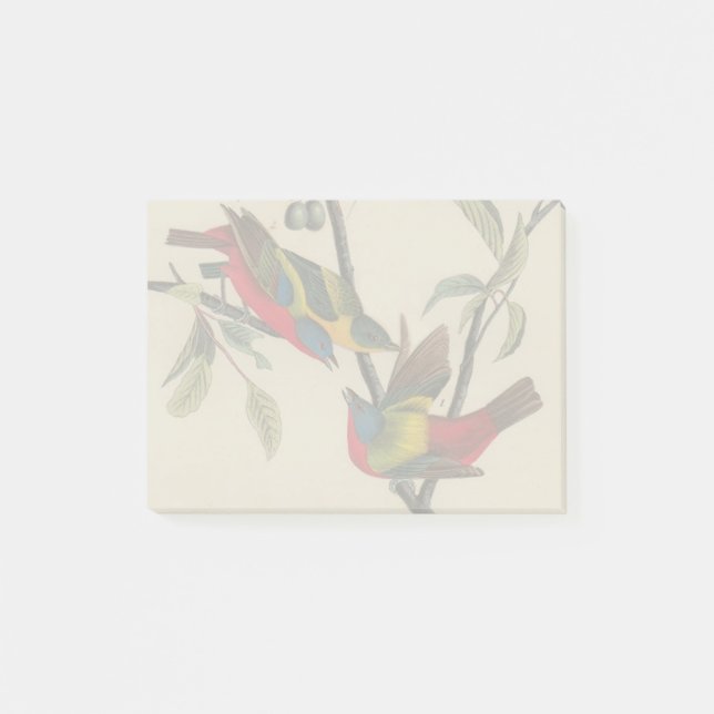 Bloco Post-it Animais Selvagens de Aves Pintadas com Audubon (Frente)