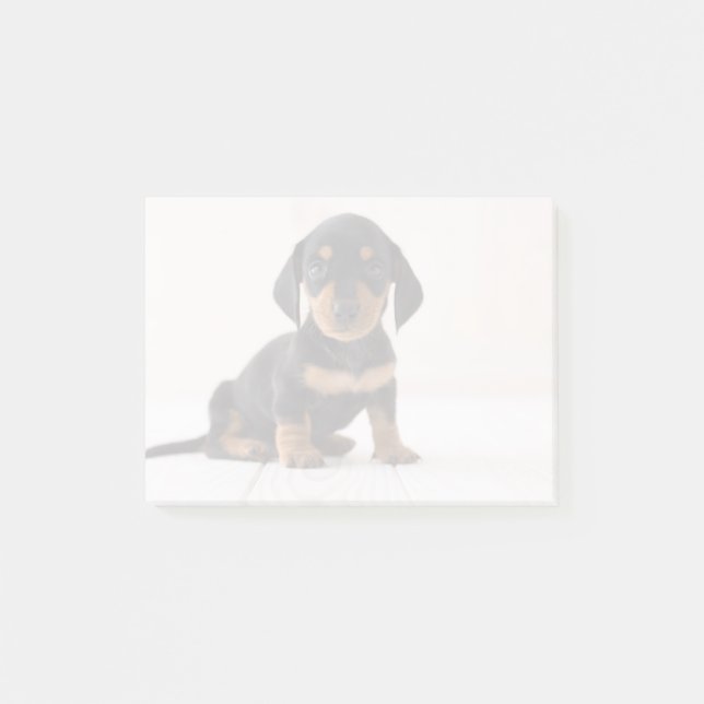 Bloco Post-it Assento diminuto do Dachshund (Frente)