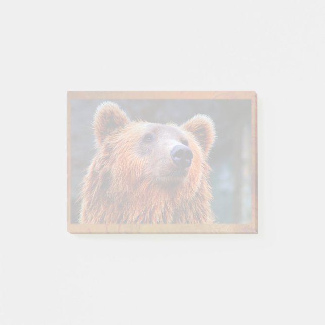 Bloco Post-it Belo Urso Marrom Retrato Wildlife Foto (Frente)