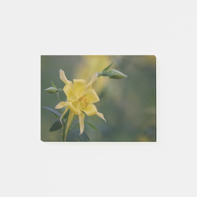 Bloco Post-it Bom dia amarelo (Frente)