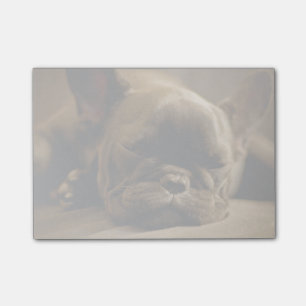 Bloco Post-it Buldogue francês sonolento