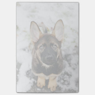 Bloco Post-it Cachorro Bonito Olhando Para Cima