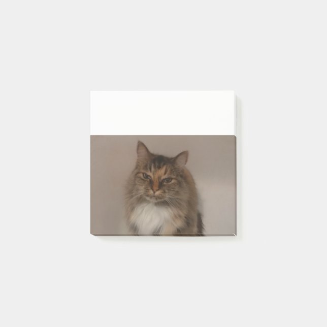 Bloco Post-it Calico Cat Posta as notas (Frente)