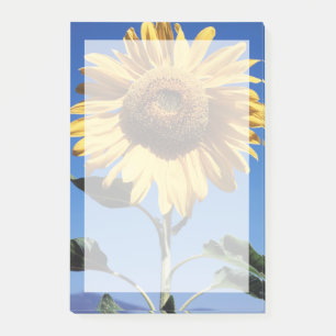 Bloco Post-it Califórnia, Um Girassol Gigante (Helianthus) 3