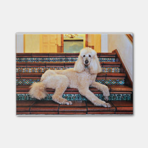 Bloco Post-it Caniche padrão do abricó - Bocelli
