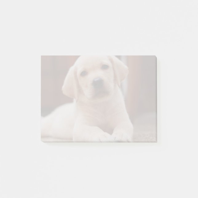 Bloco Post-it Cão de filhote de cachorro amarelo de Labrador do (Frente)
