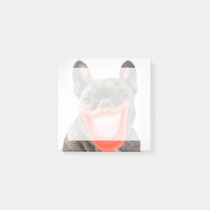 Bloco Post-it Cão de sorriso das imagens   A de Getty