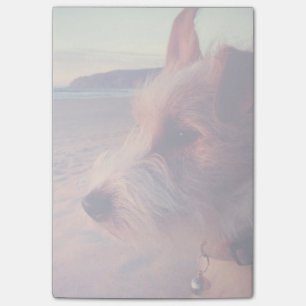Bloco Post-it Cão Enfrentando A Praia