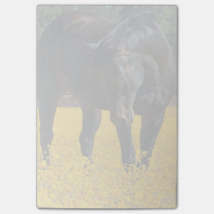 Bloco Post-it Cavalo de Baía num Campo de Flores Amarelas