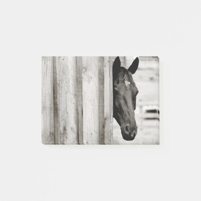 Bloco Post-it Cavalo Preto Curioso (Frente)