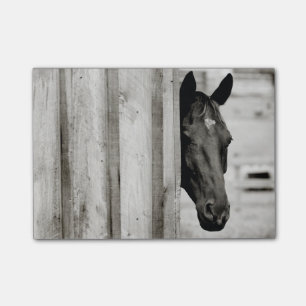 Bloco Post-it Cavalo Preto Curioso