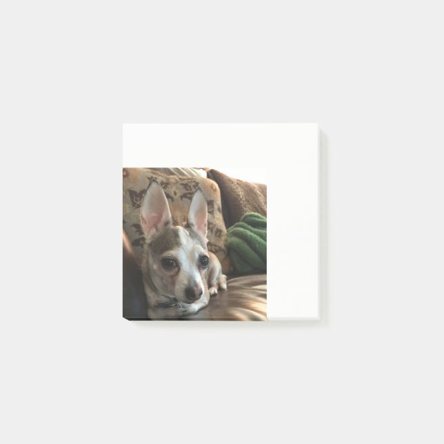 Bloco Post-it Chihuahua Dog Posta as notas (Frente)