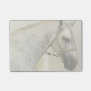 Bloco Post-it Cinza de ananás Cavalo Andaluz