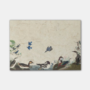 Bloco Post-it Colagem de Audubon de notas de post-it dos animais