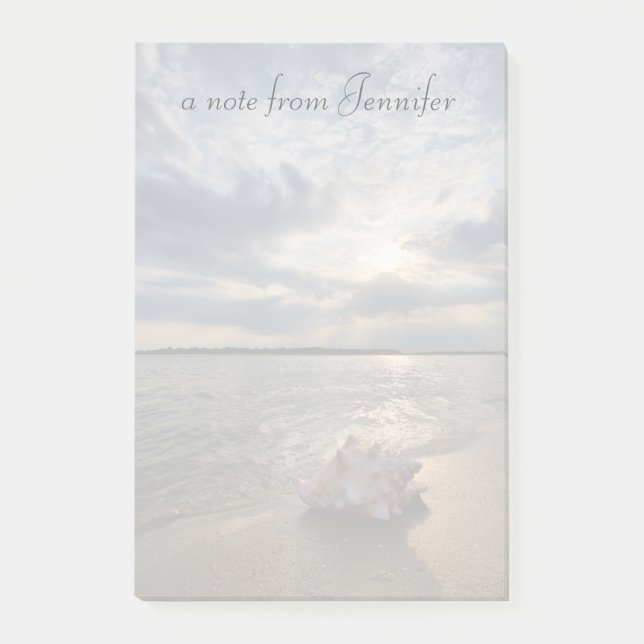 Bloco Post-it Conch Shell Na Praia| Ruas. Augustine, Fl (Frente)