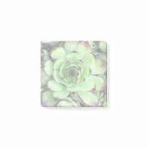 Crie sua própria foto iluminada