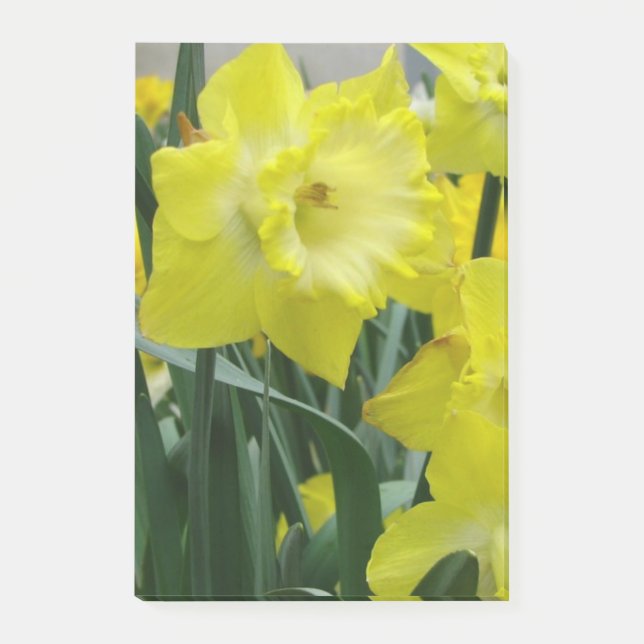 Bloco Post-it daffodil-22.JPG (Frente)