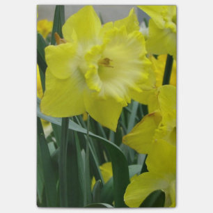Bloco Post-it daffodil-22.JPG