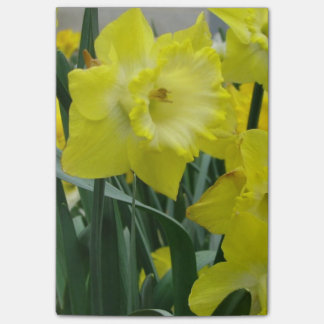 Bloco Post-it daffodil-22.JPG