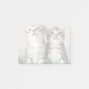 Bloco Post-it Dois gatinhos bonitos
