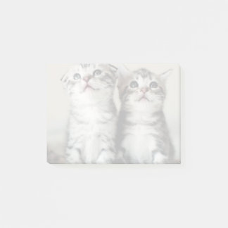Bloco Post-it Dois gatinhos bonitos
