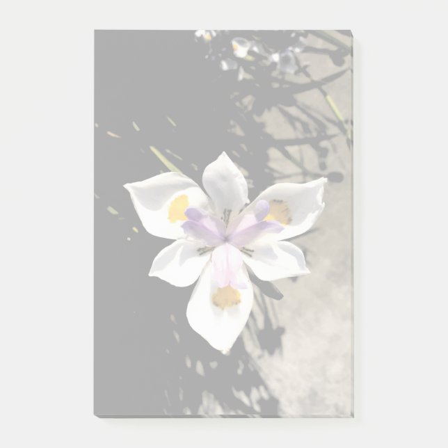 Bloco Post-it Estrela Flor (Frente)