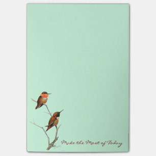 Bloco Post-it Faça o a maioria de hoje: Arte Rufous dos colibri