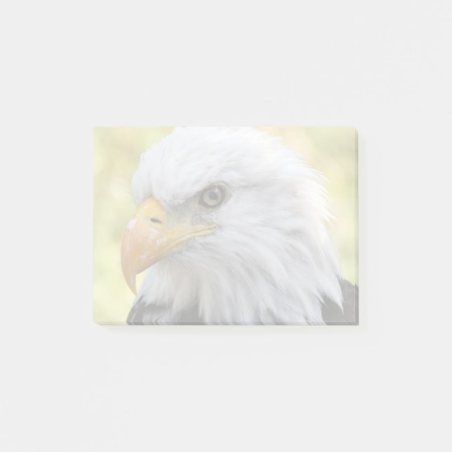 Bloco Post-it Falln Bald Eagle Liberty (Frente)