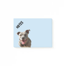 Feliz sorriso Pitbull