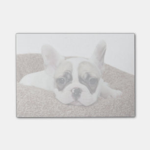 Bloco Post-it Filhote de cachorro do buldogue francês que