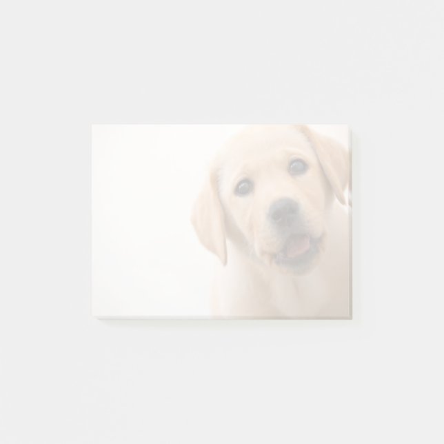Bloco Post-it Filhote de cachorro dourado de Labrador (Frente)