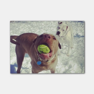 Bloco Post-it Filhotes de cachorro que jogam a almofada de nota