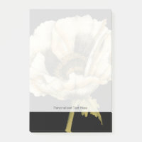 Flor de Creme Poppy no Fundo Preto