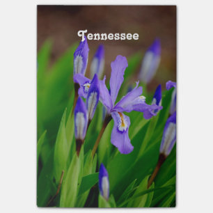 Bloco Post-it Flor de estado de Tennessee