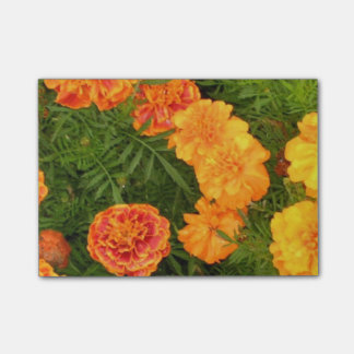 Bloco Post-it Flores do cravo-de-defunto