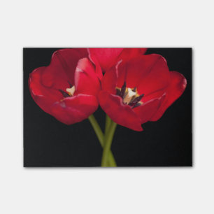 Bloco Post-it Flores Vermelhas Tulipas Flores Pretas Fundo Flor