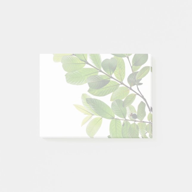 Bloco Post-it Folhas do verde em um fundo branco (Frente)