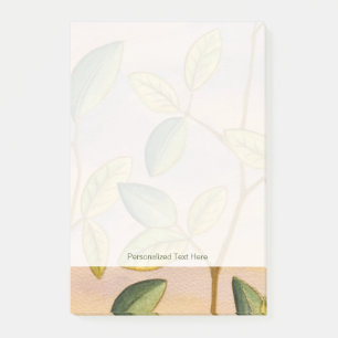 Bloco Post-it Folhas verdes e amarelas sobre fundo solar