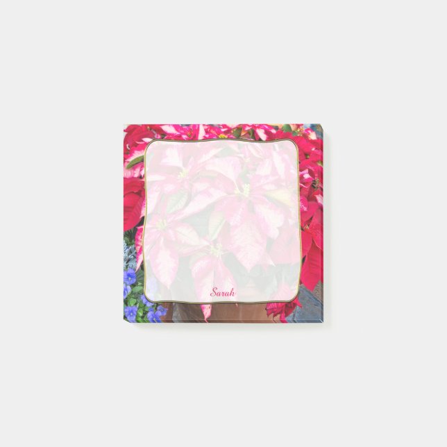 Bloco Post-it Foto de Poinsettia Rosa e Vermelha Variegada para  (Frente)