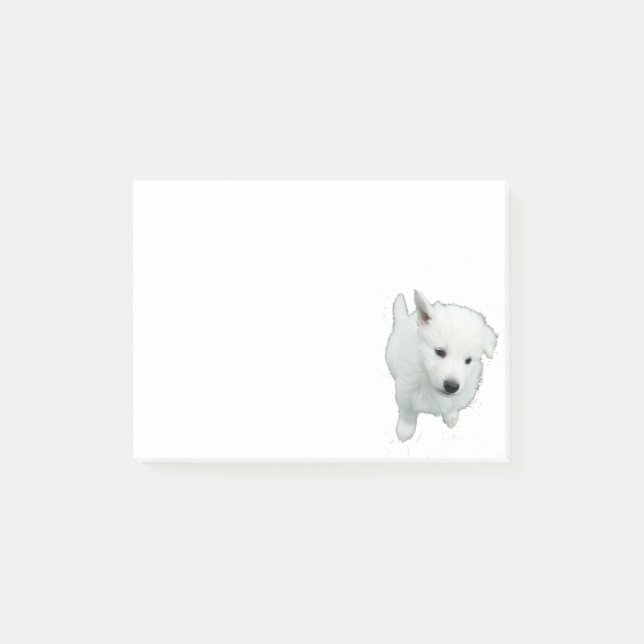 Bloco Post-it Fotografia do Fluffy White Puppy (Frente)