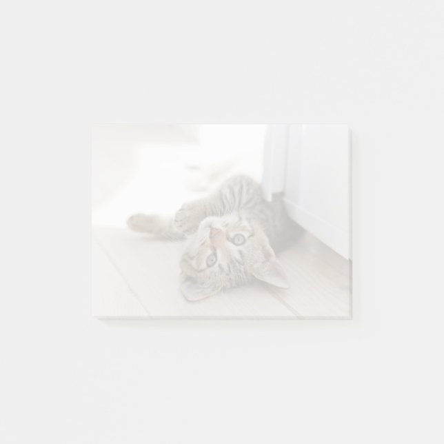 Bloco Post-it Gatinho pequeno bonito (Frente)