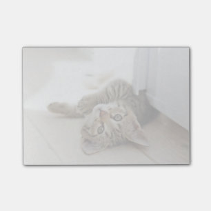 Bloco Post-it Gatinho pequeno bonito