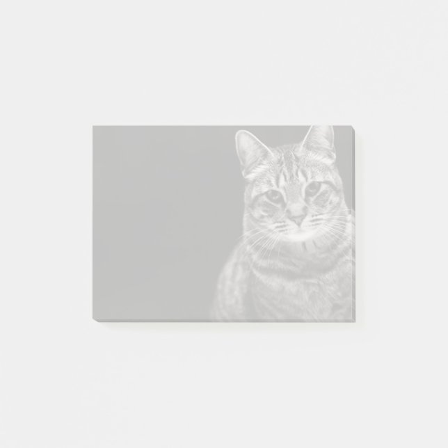 Bloco Post-it Gatinho preto do gato malhado (Frente)