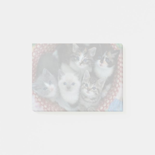 Bloco Post-it Gatinhos Em Uma Cesta (Frente)