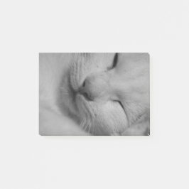 Bloco Post-it Gato